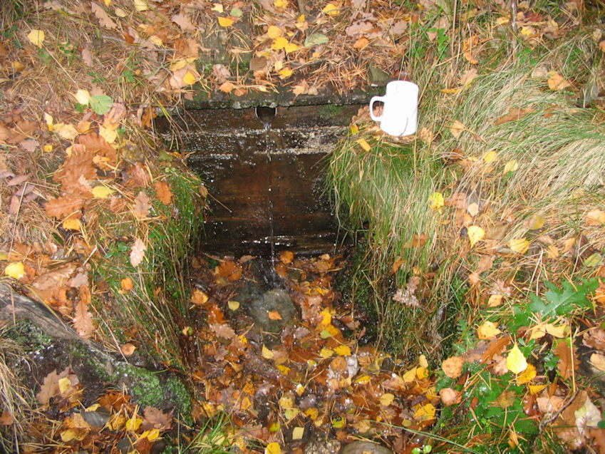 studánka U kalíšku (661) - říjen 2008