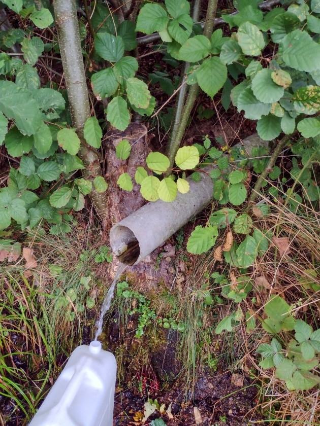 studánka Nad Libinou (663) - datum neznámé