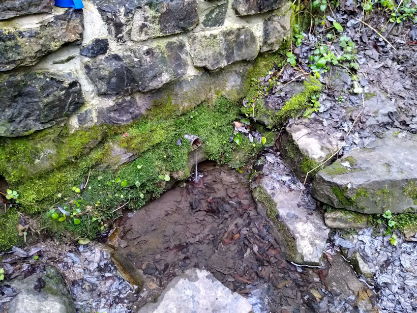 studánka S. Lolka (694) - prosinec 2019