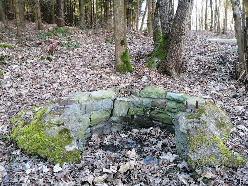 studánka Pod Myslivnou (703) - březen 2020