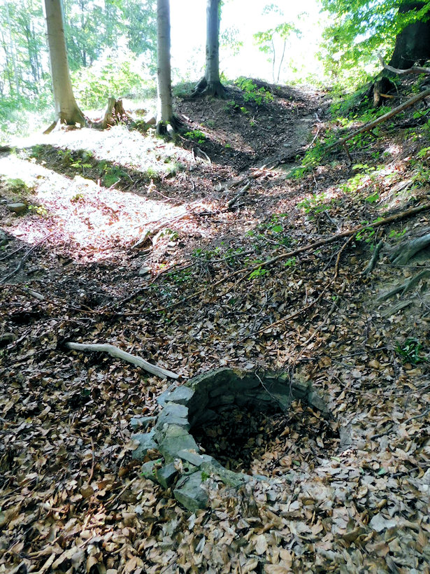 studánka Na Kršlách (713) - červenec 2019