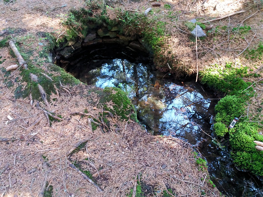studánka Nad Pilkou (728) - květen 2021