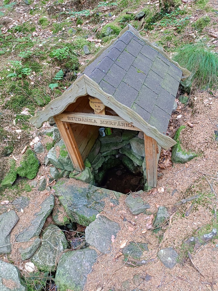 studánka Merfánka (731) - červen 2024