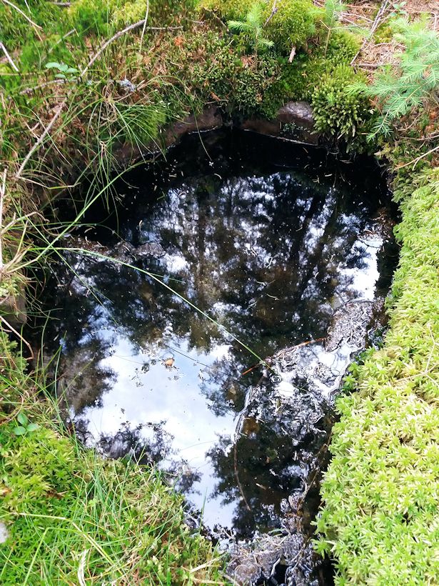 studánka Nad Třítrubeckým potokem (733) - datum neznámé