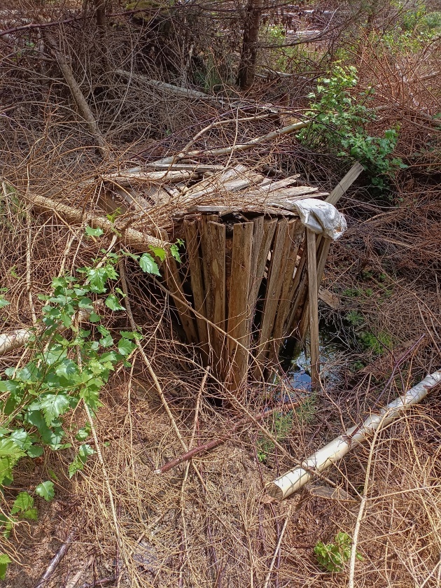 studánka Pod Hranicí (736) - červen 2023