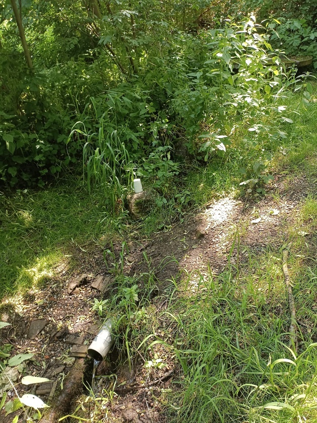 studánka V Hrachovišti (745) - červen 2023