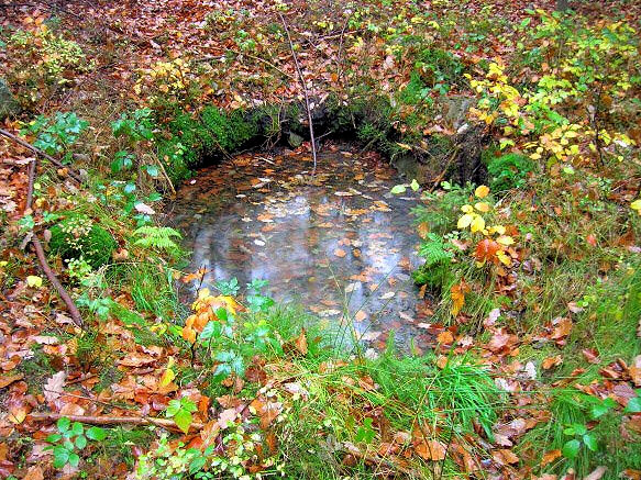 studánka Pod Špičákem (746) - listopad 2008