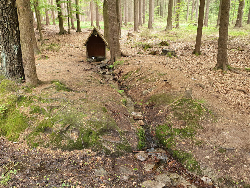 studánka Kobylí hlava (752) - červen 2021