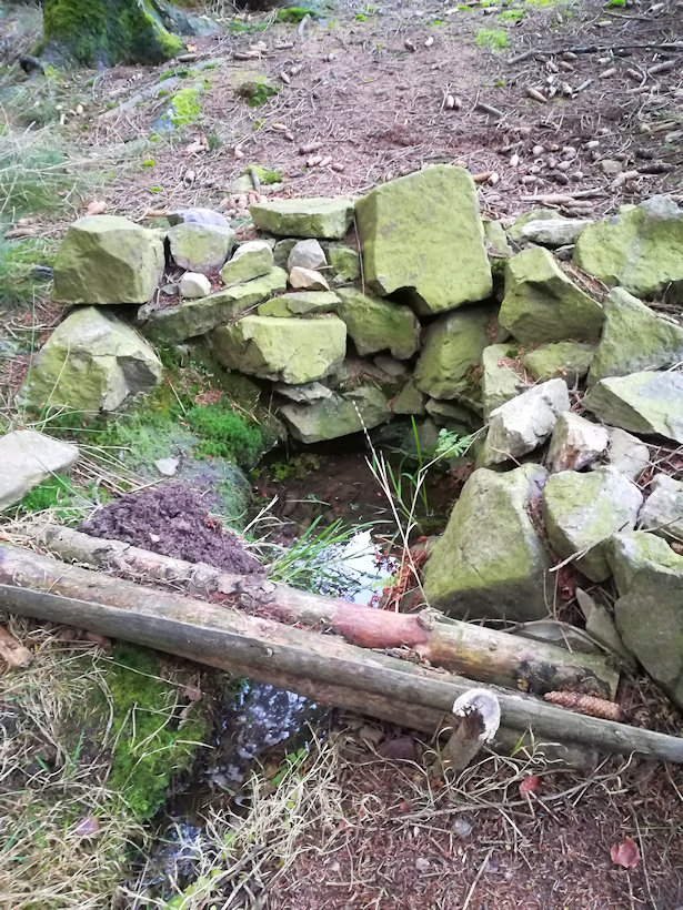 Gejzova studánka (754) - listopad 2020
