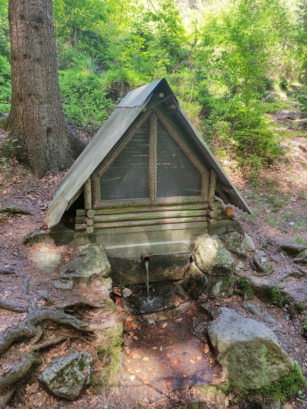 studánka V lomu (762) - červen 2023
