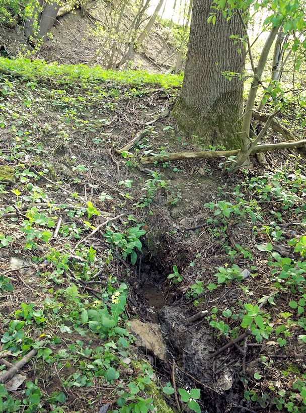 Studánka u Němčic (769) - listopad 2008