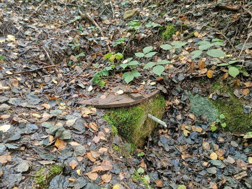 studánka U Cesty (772) - datum neznámé