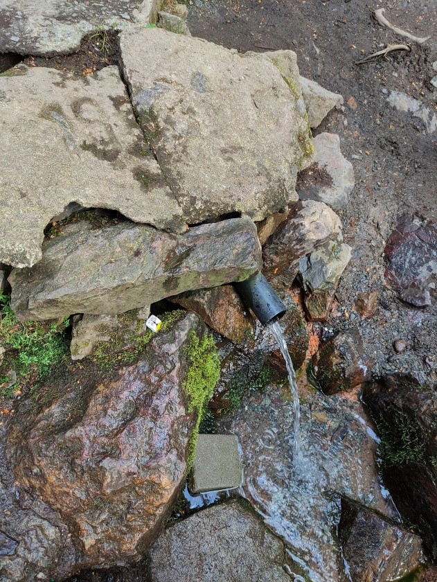 Kokotská studánka (776) - květen 2023