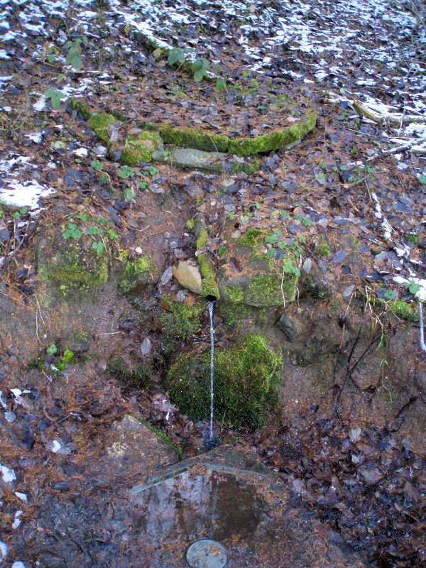 Studánka u Příšova (779) - listopad 2008