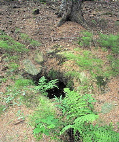 studánka Jedličkova (783) - listopad 2008