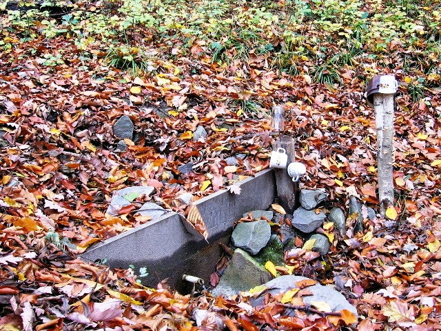 pramen V hájku (814) - leden 2009