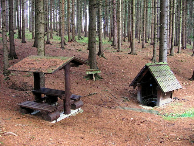 studánka Cyrilka (822) - leden 2009