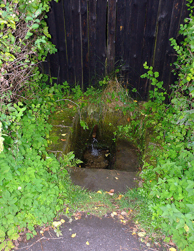 studánka bez jména (830) - leden 2009