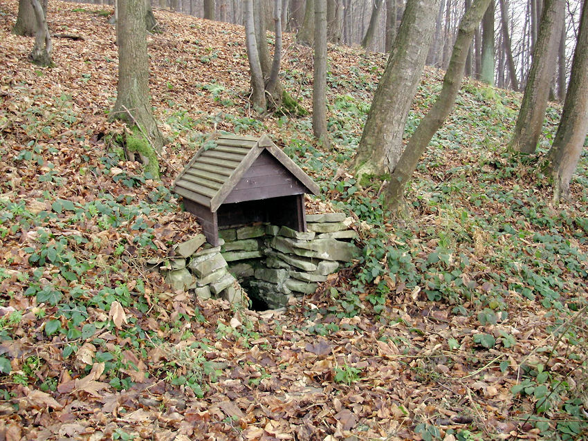 studánka Hraniční (847) - leden 2009