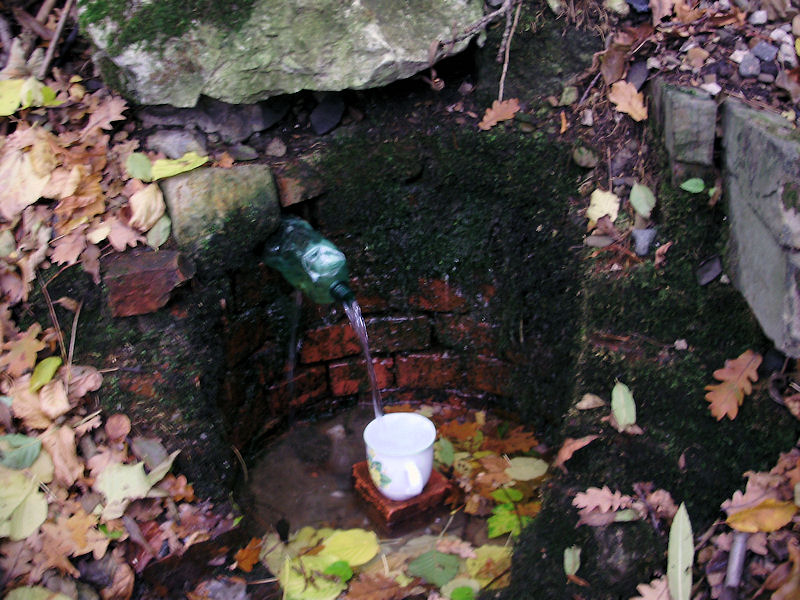 studánka V náspu (856) - leden 2009