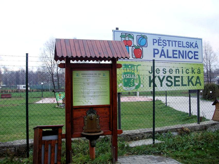 pramen Jesenická kyselka (857) - leden 2009