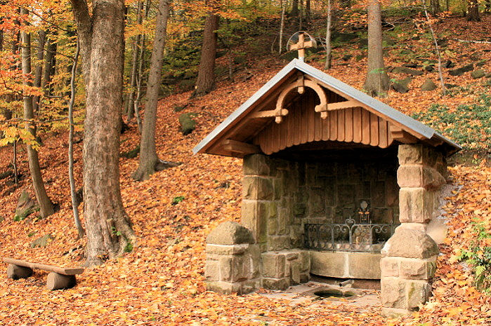 studánka pod Janským vrchem (858) - leden 2009
