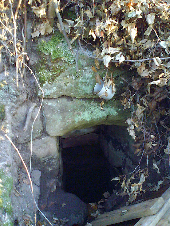studánka V Brusech (862) - leden 2009