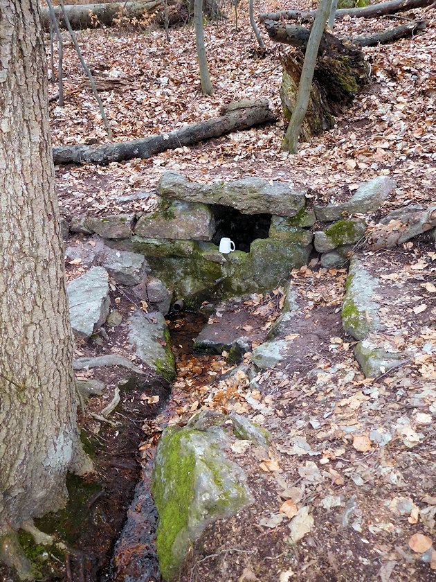 studánka Buková (876) - březen 2023