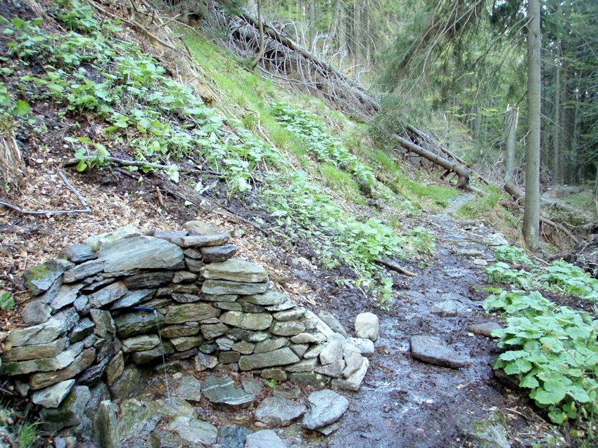 Bukový pramen (892) - leden 2009