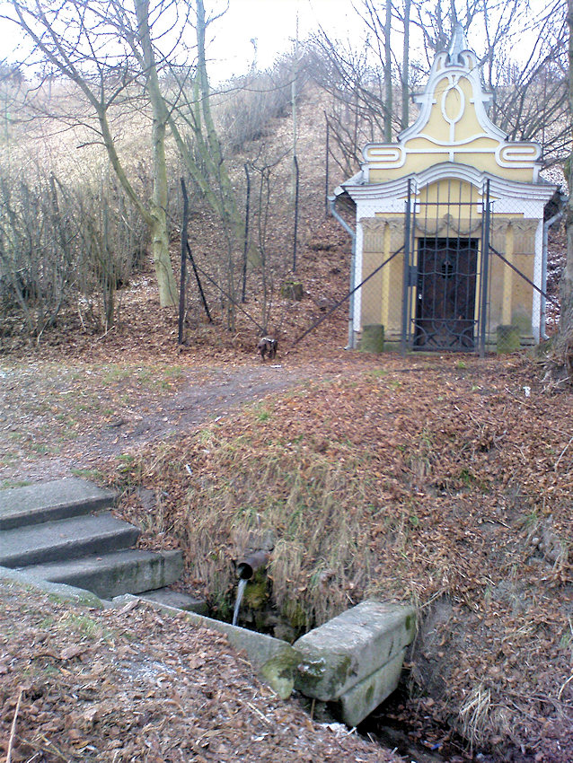 pramen U Jánečka (898) - červen 2011