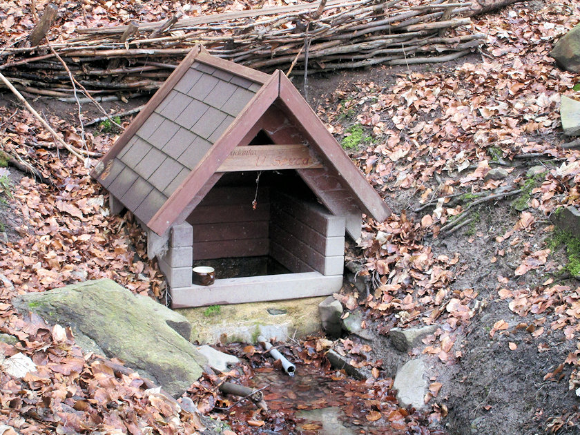 studánka U Ševca (904) - únor 2021