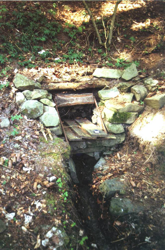 studánka Martinova (909) - únor 2009