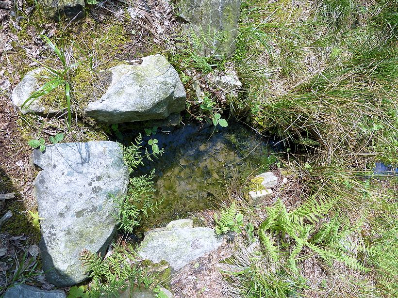 studánka Pod Klondajkem II (915) - datum neznámé