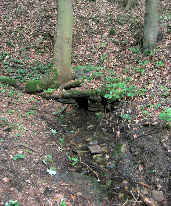 studánka Zumberk (925) - únor 2009