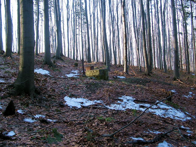 jiný vodní zdroj Prašivá (941) - únor 2009