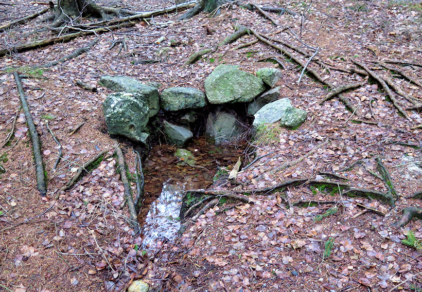 studánka Na Žďáru - západ (948) - únor 2009