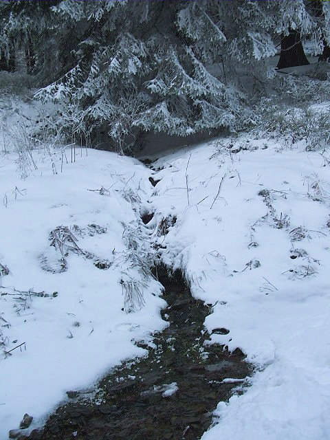 Pramen Nad Odnohou (956) - únor 2009