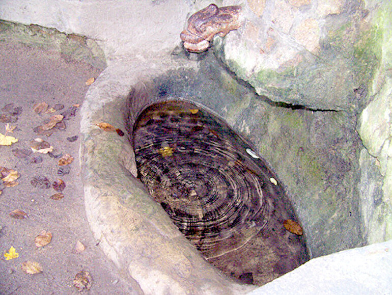studánka U Antoníčka (972) - únor 2009