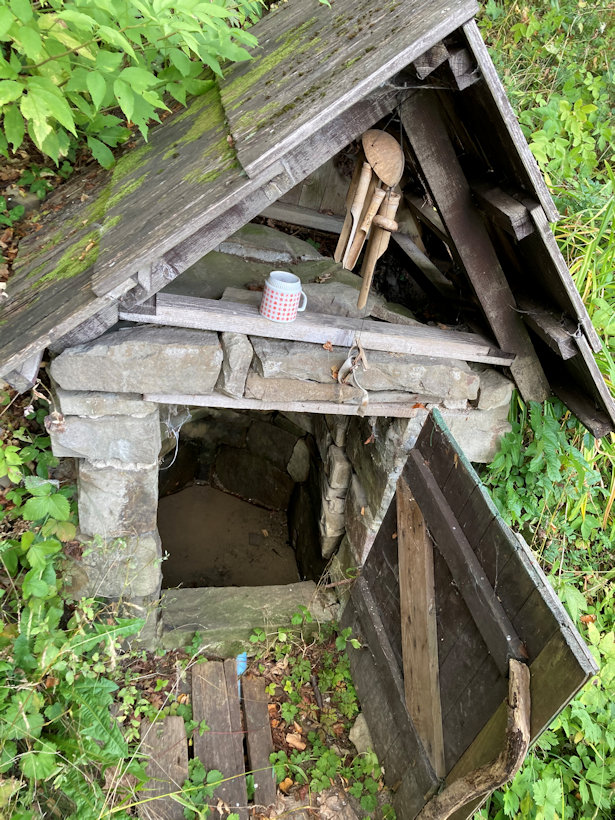 studánka bez jména (13548) - září 2020