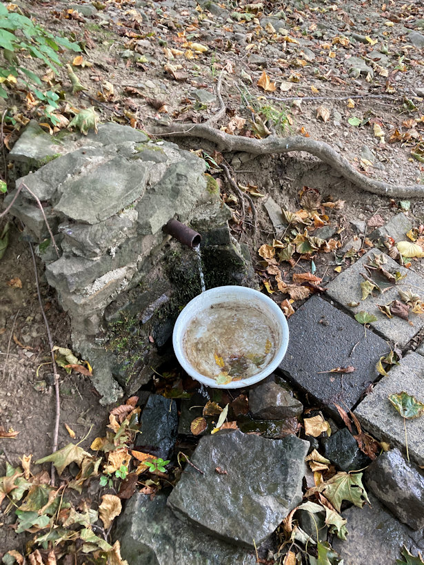 studánka bez jména (13550) - září 2020