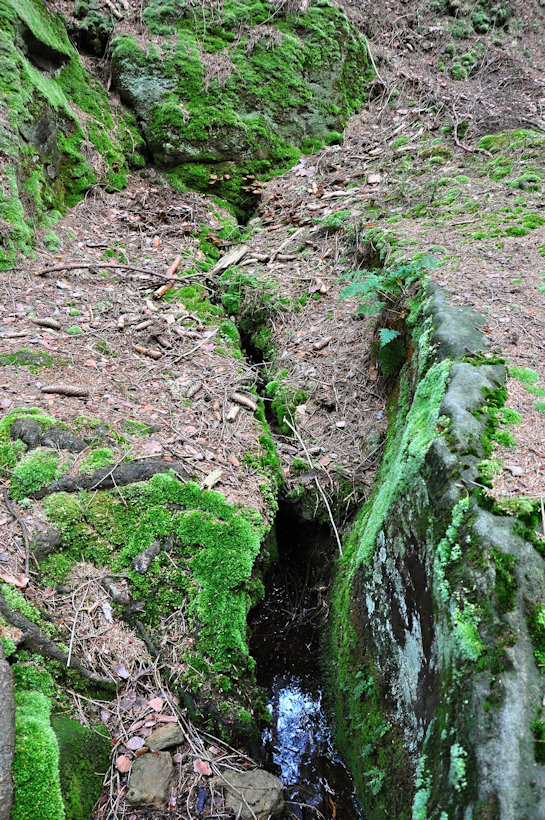 studánka Tulácká (13551) - září 2020