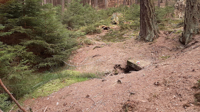 studánka U Ledkovy Huti (13564) - září 2020