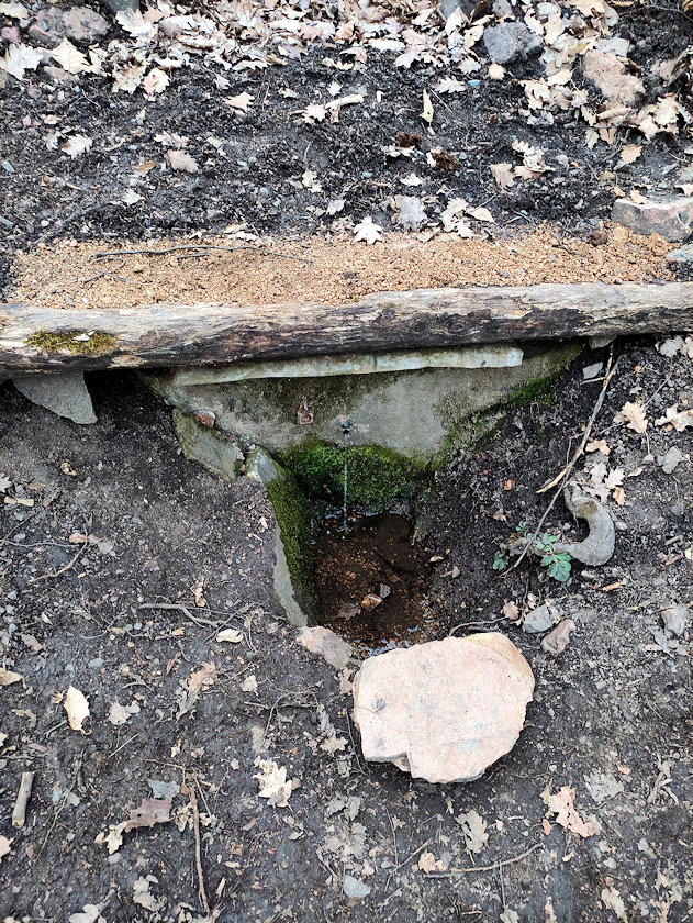 studánka Pod Hradiskem (13565) - březen 2021
