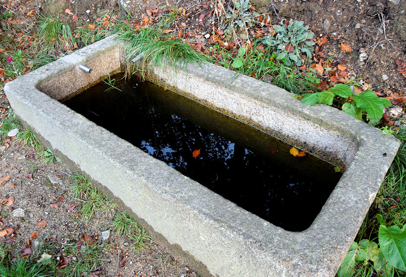 studánka Království (13571) - září 2020