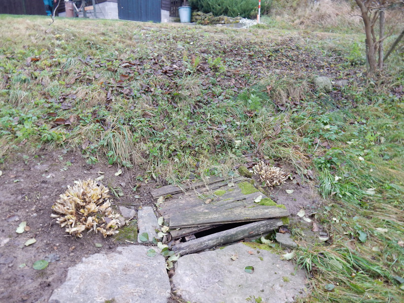 Kunačická studánka 2 (13603) - listopad 2020