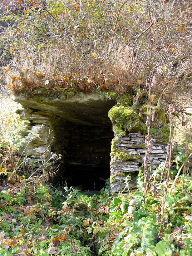 studánka bez jména (13636) - říjen 2017