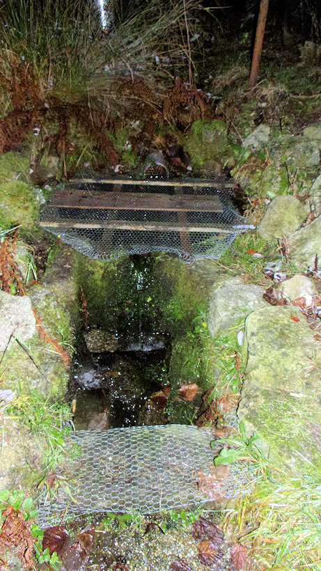 Kamenná studánka (13640) - prosinec 2020