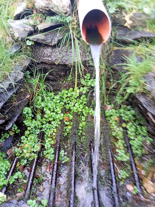 studánka V Sokolím dole (13667) - listopad 2020