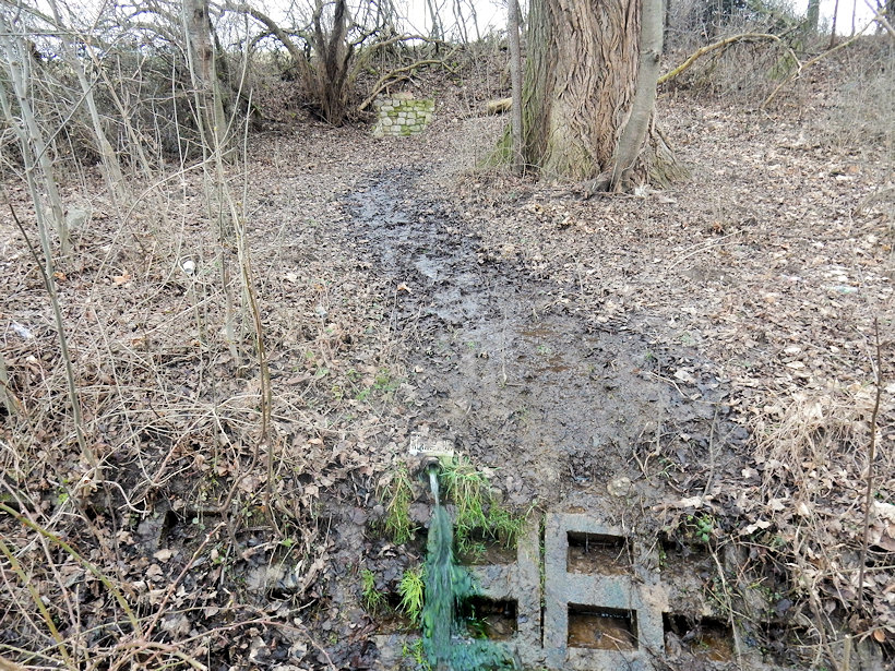 studánka U rasovny 1 (13675) - leden 2021