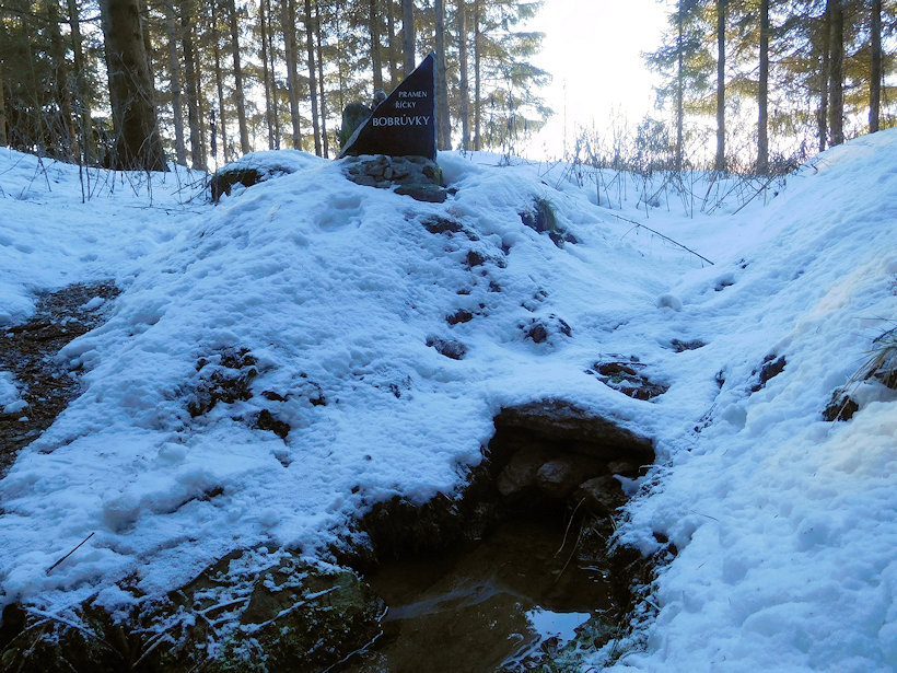 studánka pramen Bobrůvky (13683) - leden 2021
